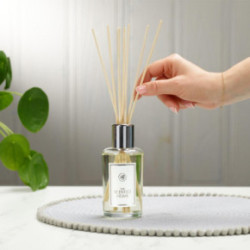 Ashleigh & Burwood Home Fragrance Cocoa Forest Reed Diffuser Mājas aromāts 150ml