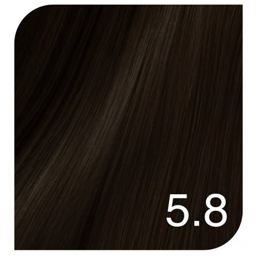 Revlon Professional Color Excel Gloss Acidic Gloss Treatment + Color Excel Gloss Energizer Matu krāsa un oksidatīva emulsija Komplekts