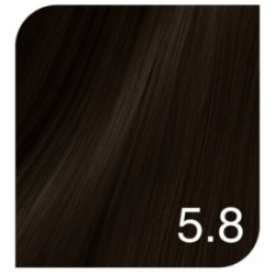 Revlon Professional Color Excel Gloss Acidic Gloss Treatment + Color Excel Gloss Energizer Matu krāsa un oksidatīva emulsija Komplekts