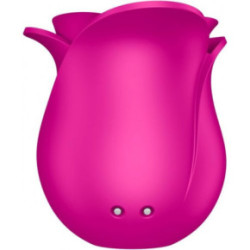 Satisfyer Pro 2 Modern Blossom Blossom Klitora stimulators Pink