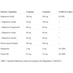 Ecosh Magnesium complex + Magnija komplekss ar mūmiju 90 kapsulas