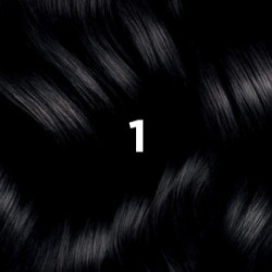 Phyto Permanent Hair Color Matu krāsa bez amonjaka 1 Black