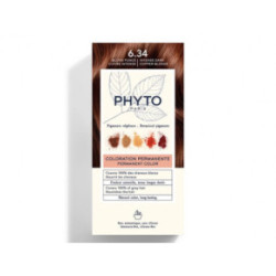 Phyto Permanent Hair Color Matu krāsa bez amonjaka 1 Black