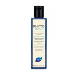 Phyto Phytopanama Purifying Treatment Shampoo Attīrošs šampūns 250ml