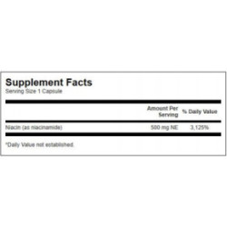 SWANSON Niacinamide 500mg Energy and Cardiovascular Support B3 vitamīns, niacīns 250 kapsulių