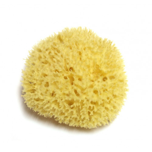Hydrea London Honeycomb Sea Sponge Dabīgs jūras sūklis ~13 cm