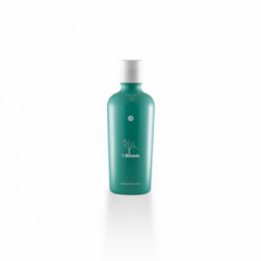 Naturalmente InBloom Detox Shampoo Attīrošs šampūns taukainai galvas ādai 250ml