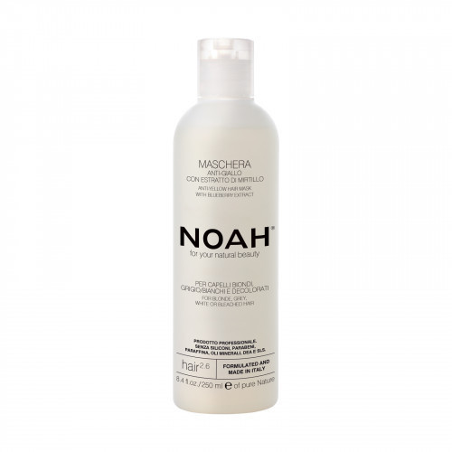 Noah 2.6 Anti-Yellow Hair Mask With Blueberry Extract Dzeltenus toņus neitralizējoša matu maska 250ml