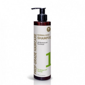 GMT BEAUTY Prof-Grade Haircare Normalising Shampoo Šampūns taukainiem matiem 250ml