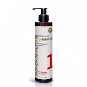 GMT BEAUTY Prof-Grade Haircare Repairing Shampoo Atjaunojošs šampūns 250ml