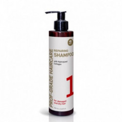 GMT BEAUTY Prof-Grade Haircare Repairing Shampoo Atjaunojošs šampūns 250ml