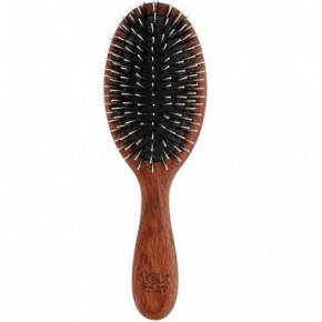 TEK Padouk Wood Oval Hairbrush MP Matu suka ar mežacūkas sariem