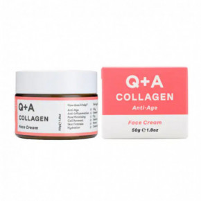 Q+A Collagen Anti-Age Face Cream Sejas krēms 50g