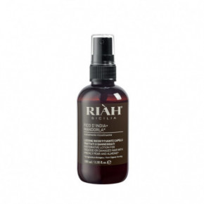 RIAH Restorative Lotion For Treated Or Damaged Hair Atjaunojošs izsmidzināms losjons bojātiem matiem 100ml