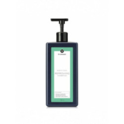 HH Simonsen Dandruff Shampoo Pretblaugznu šampūns 250ml