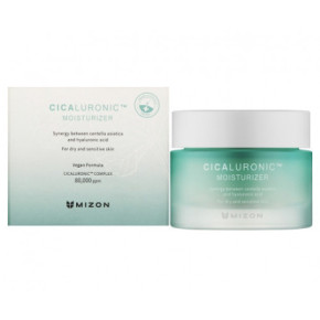 Mizon Cicaluronic Moisturizer Sejas krēms ar hialuronskābi un centellas ekstraktu 50ml