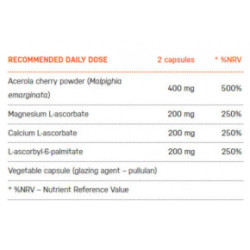 Ecosh Vitamin C Vitamīns C ar mežrozītēm 90 kapsulas