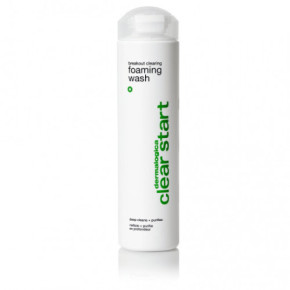 Dermalogica Breakout Clearing Foaming Wash Sejas tīrīšanas līdzeklis 295ml